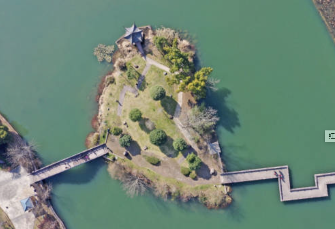 仙居：梅花迎春開